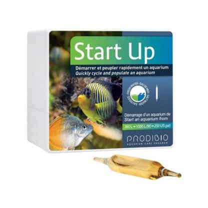 Prodibio Startup 12Amp - Βακτήρια