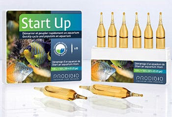 Prodibio Startup 6Amp - Βακτήρια