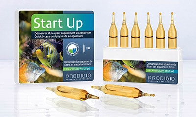 Prodibio Startup 6Amp - Βακτήρια
