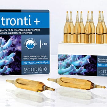 Prodibio Stronti+ 6Amp - Συμπληρώματα Κοραλλιών