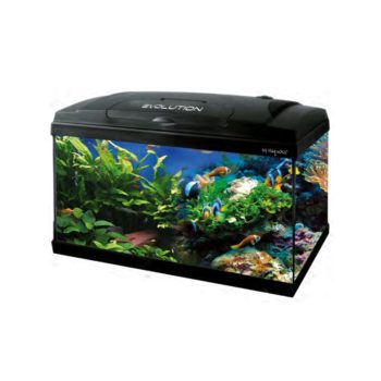 Haquoss Evolution 50 Deluxe 45Lt - Πλήρες Ενυδρείο