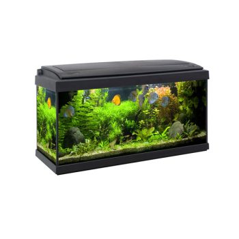 Dennerle Nano Tank White Glass 35L - Μικρά < 60 lt