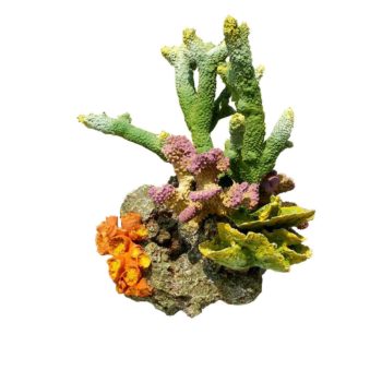 Coral Rock 6 - Τεχνητά Διακοσμητικά