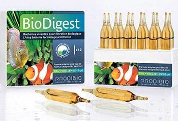 Prodibio BioDigest 30amp - Βακτήρια