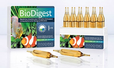 Prodibio BioDigest 30amp - Βακτήρια