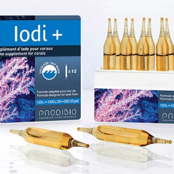 Prodibio Iodi+ 12Amp - Συμπληρώματα Κοραλλιών