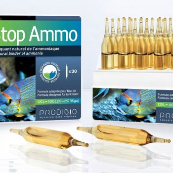 Prodibio Stopammo - Αντιμετώπιση Προβλημάτων