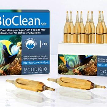 Prodibio Bioclean Salt Nano 4 - Βακτήρια