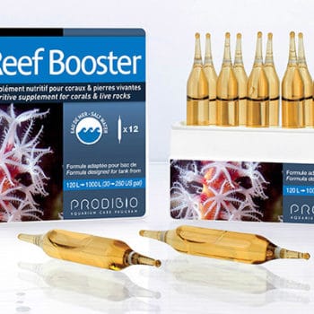 Prodibio Reefbooster 6Amp - Συμπληρώματα Κοραλλιών