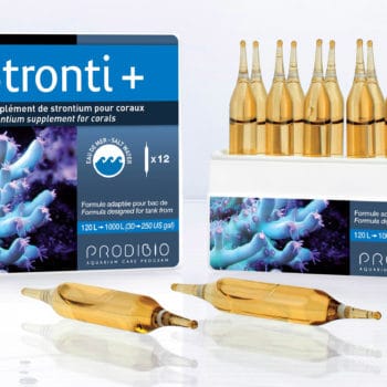 Prodibio Stronti+ 12Amp - Συμπληρώματα Κοραλλιών
