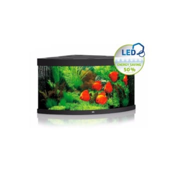 Juwel Trigon 350 Led Μαύρο - Μεγάλα > 180 lt