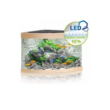 Juwel Trigon 190 Led Οξιά - Μεγάλα > 180 lt