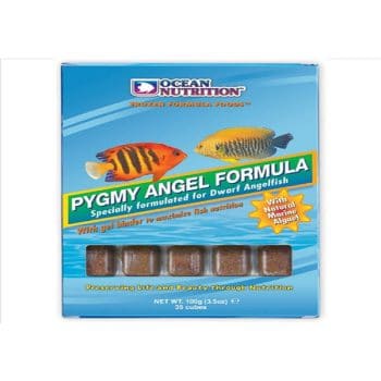 New Life Spectrum Small Fish Formula 50gr - Ξηρές τροφές