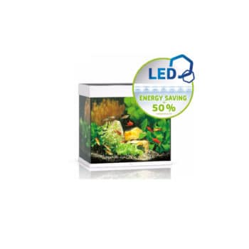 Groci Amtra Vega Led Lamp 10.5 Watt Fresh - Φωτιστικά