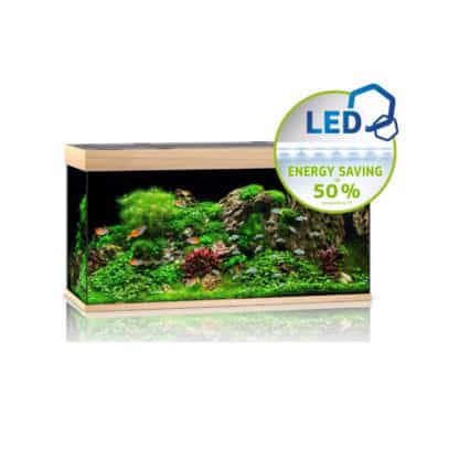 Juwel Rio 350 Led Οξιά - Μεγάλα > 180 lt