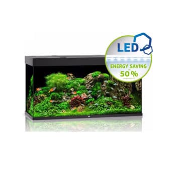 Juwel Rio 350 Led Μαύρο - Μεγάλα > 180 lt