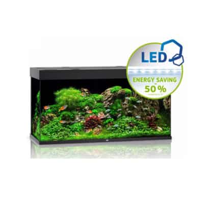 Juwel Rio 350 Led Μαύρο - Μεγάλα > 180 lt