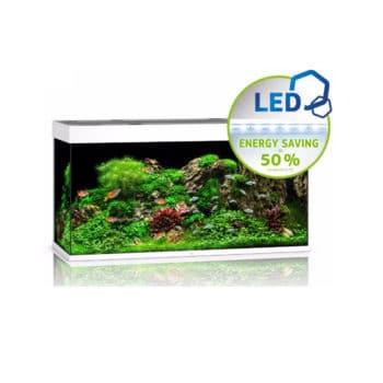 Oase Biorb Cube 30 Led Black - Μικρά < 60 lt