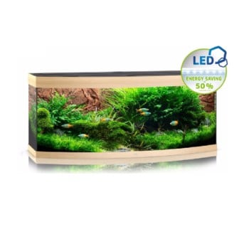 Tetra Delica Bloodworms 100ml/8gr - Sales