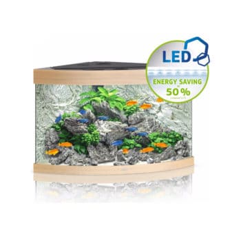 Juwel Trigon 350 Led Οξιά - Μεγάλα > 180 lt