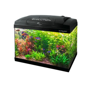 Haquoss Evolution 40 Black 21lt - Perm Sales