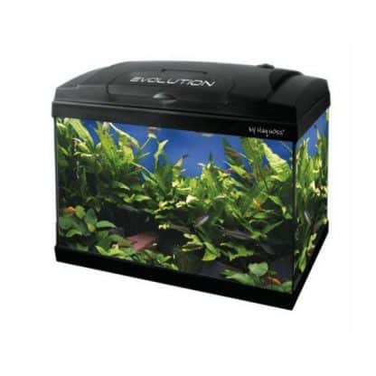 Haquoss Evolution 40 Black 21lt - Perm Sales