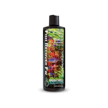 Brightwell Fish Recover Freshwater 125ml - Θεραπείες