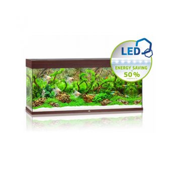 Juwel Rio 240 Led Καρυδια - Μεγάλα > 180 lt