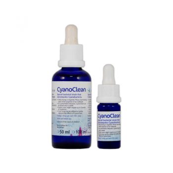 Korallen-Zucht Cyano Clean 10ml - Αντιμετώπιση Προβλημάτων