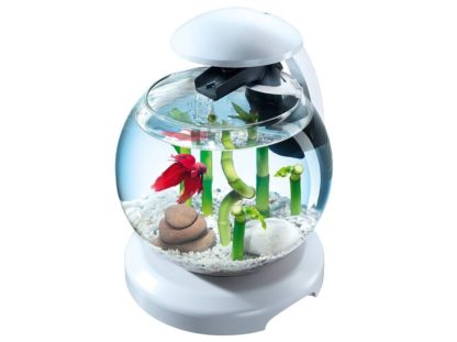 Tetra Cascade Globe 6.8lt white - Perm Sales