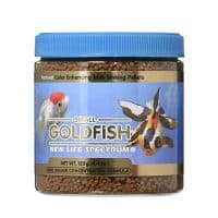 Carassius auratus – Goldfish Yellow 5-8cm - Ψάρια Γλυκού