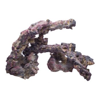 Caribsea – Liferock Shelf 18.14kg - Πέτρες - Βότσαλα