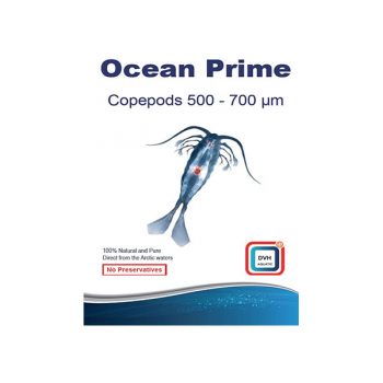 Dvh – Ocean Prime Copepods 500-700mm (Microns) - Τροφές για Ασπόνδυλα / Κοράλλια