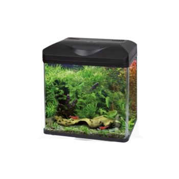 Aqua Nova Rock with Moss 30x20x7cm - Τεχνητά Διακοσμητικά