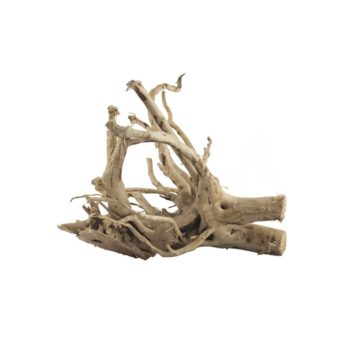 Aquario Ikebana Driftwood price per Kilo - Ξύλα