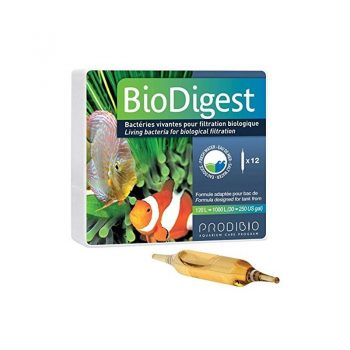 Prodibio Biodigest 12Amp - Βακτήρια