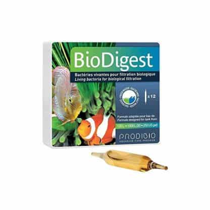 Prodibio Biodigest 12Amp - Βακτήρια