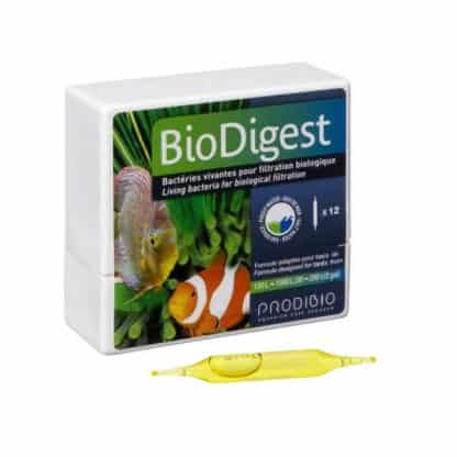 Prodibio Biodigest Single Amp - Βακτήρια