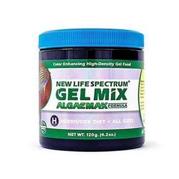 New Life Spectrum Algae Gel Formula 100gr - Ξηρές τροφές