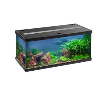 Oase Biorb Air 60 grey (Terrarium – Vivarium) - Μικρά < 60 lt