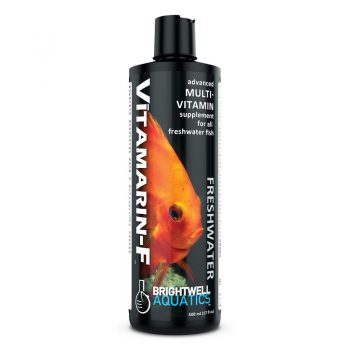 Ocean Nutrition Pugmy Angel Formula - Κατεψυγμένες τροφές