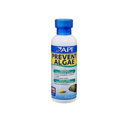 Api Prevent Algae 237ml - Αντιμετώπιση Προβλημάτων