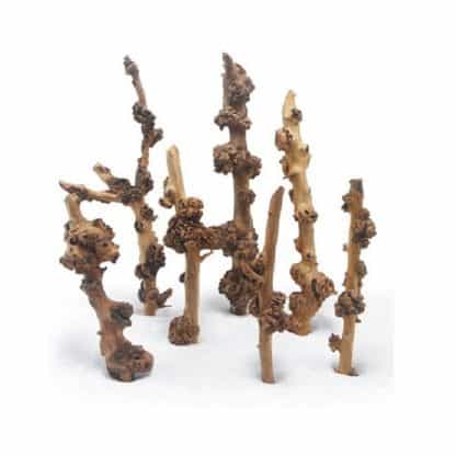 Haquoss Savana Wood Small 20/30cm - Ξύλα