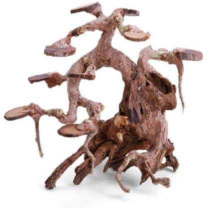 Haquoss Bonsai Driftwood 13 Small 15x8x14h cm - Ξύλα