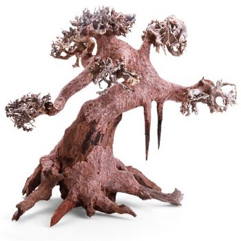 Haquoss Bonsai Driftwood 8 23x12x15hcm - Ξύλα