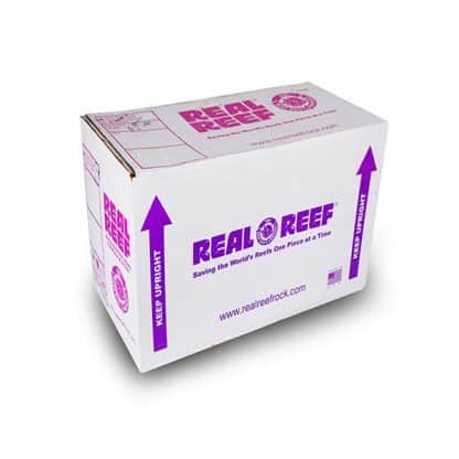 Real Reef Rock Medium - Bράχος Θαλασσινού