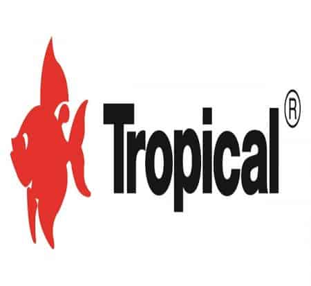 Tropical