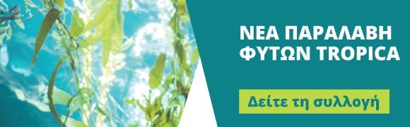 Ενυδρεία – Εξοπλισμός Ενυδρείων