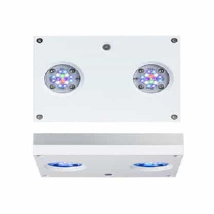 Ai Hydra 32 HD Led Light White - Sales