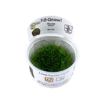 Tropica Riccia Fluitans 1-2-Grow! - Φυτά για Ενυδρεία